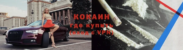 твердый Новозыбков