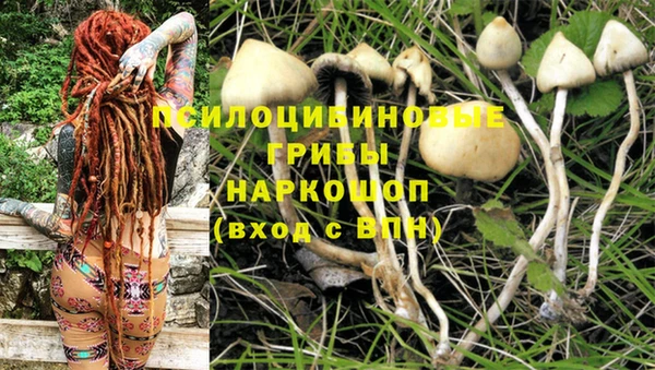 амф Нефтегорск