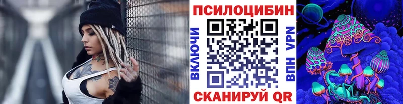 Галлюциногенные грибы Psilocybe  Луга 