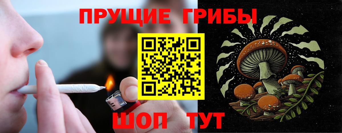 Луга  Псилоцибиновые грибы Magic Shrooms  Вход с VPN 