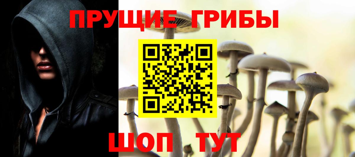 Галлюциногенные грибы GOLDEN TEACHER Луга