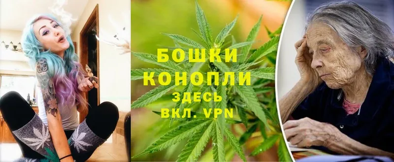 наркота  Луга  Шишки марихуана LSD WEED 